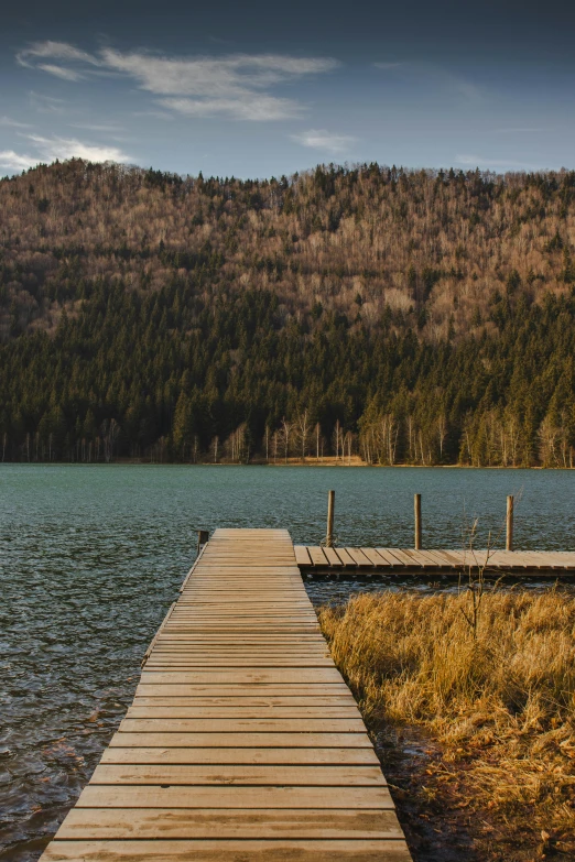 a dock next to a body of water with a mountain in the background, black forest, ultrawide landscape, walking down, brown