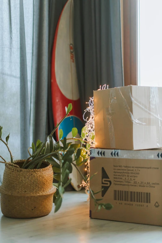 a box sitting on top of a table next to a plant, light and space, delivering mail, profile image, decorations, oceanside