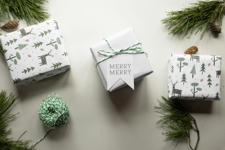 a couple of wrapped presents sitting on top of a table, inspired by Ernest William Christmas, label design, evergreen branches, white, grey