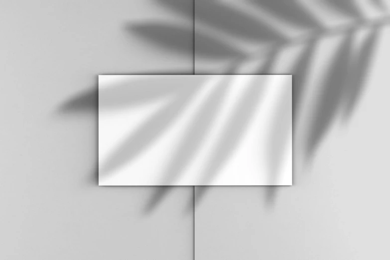 a mirror sitting on top of a wall next to a plant, an ambient occlusion render, conceptual art, consist of shadow, card template, palm lines, grey color scheme