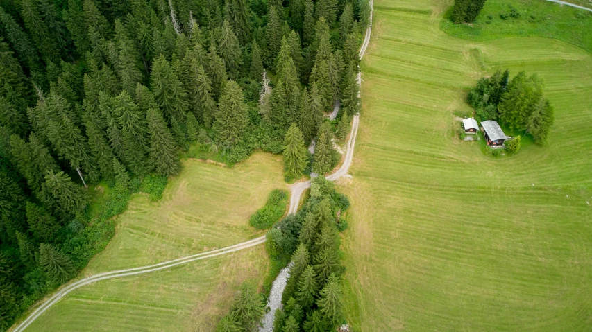 a small house sitting on top of a lush green field, by Jan Rustem, pexels contest winner, land art, a beautiful pathway in a forest, whistler, wide high angle view, spruce trees