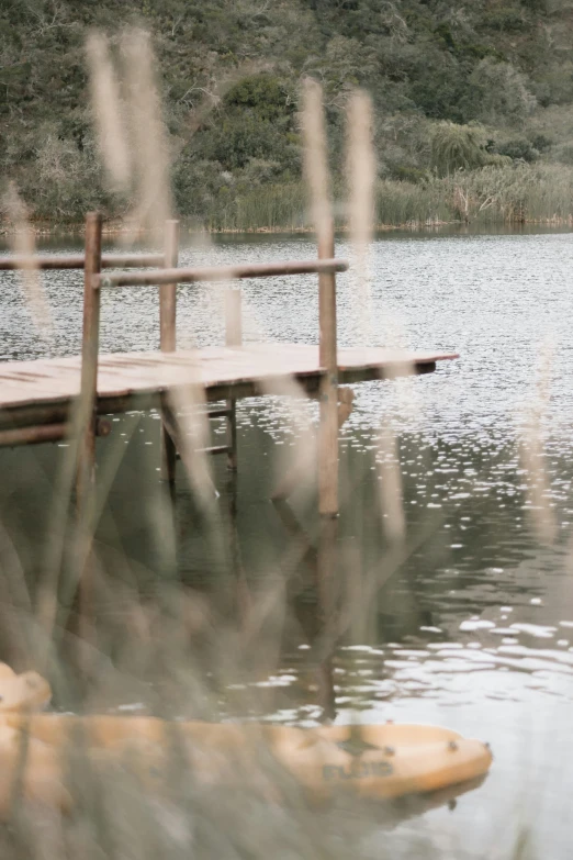 a man standing on a dock next to a body of water, by Caro Niederer, unsplash, conceptual art, 2 5 6 x 2 5 6 pixels, reeds, rustic setting, zoomed in shots