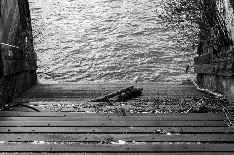 a wooden bench sitting next to a body of water, a black and white photo, aftermath, deck, detailed and complex, thames river