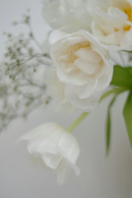 a vase filled with white flowers on top of a table, up-close, product display photograph, detail shot, upclose