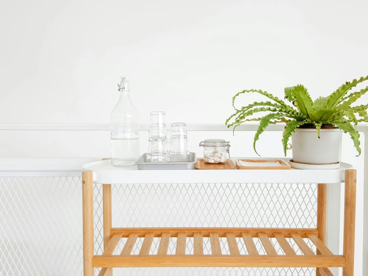 a table with a potted plant on top of it, trending on unsplash, minimalism, sparkling water, clean white lab background, cart, fern