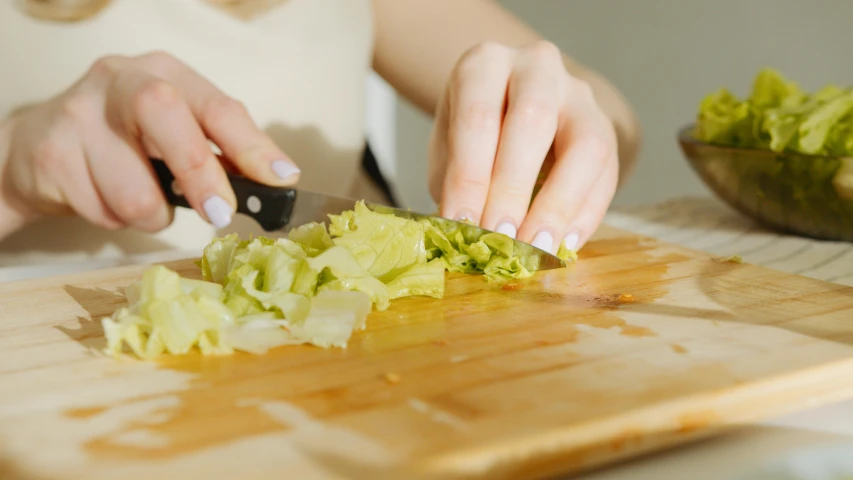 a woman chopping lettuce on a cutting board, pexels contest winner, renaissance, avatar image, frying nails, professional woodcarving, rectangle