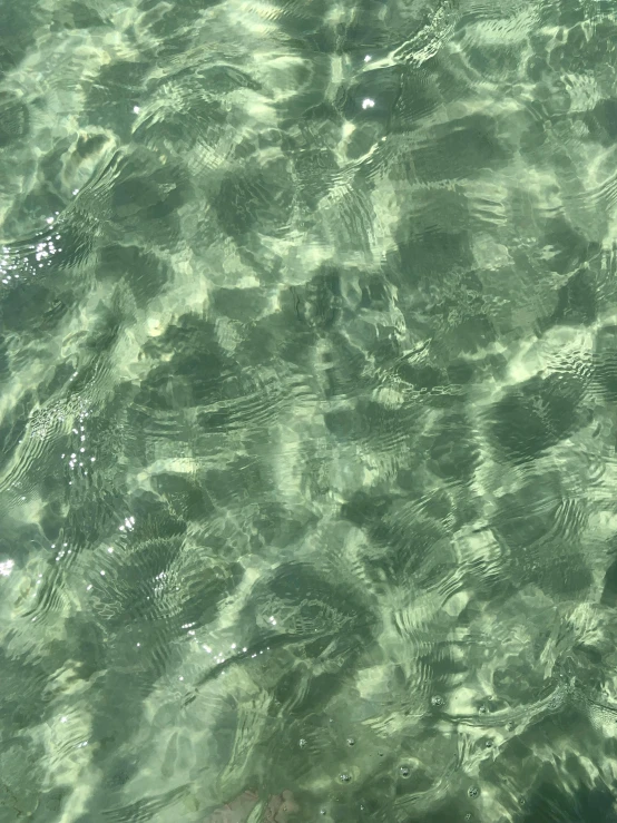 a person standing in the water with their feet in the water, an album cover, inspired by Vija Celmins, unsplash, translucent algae ornate, detail texture, translucent glass shine, bright castleton green