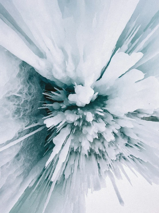 a close up of a snow covered plant, a microscopic photo, inspired by Attila Meszlenyi, trending on unsplash, abstract expressionism, on a throne of crystals, exploding powder, mountains made out of icebergs, looking upwards