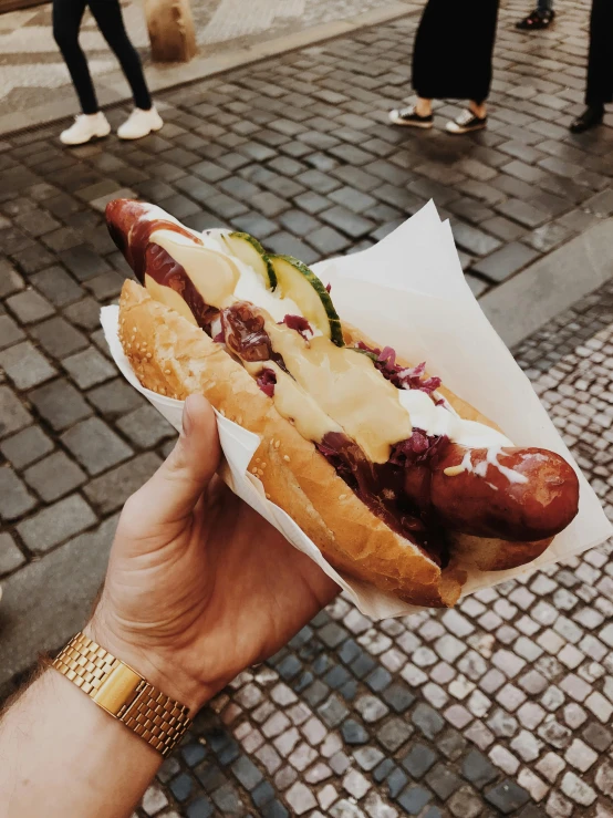 a close up of a person holding a hot dog, a photo, by Matija Jama, pexels contest winner, prague, square, instagram story, 🚿🗝📝