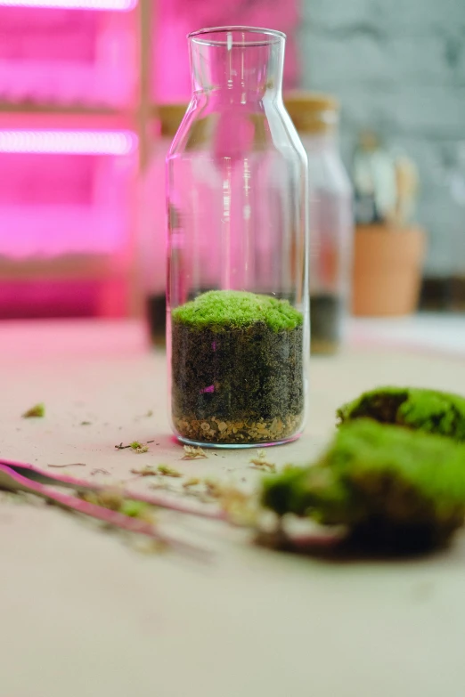 a bottle filled with moss sitting on top of a table, a picture, indoor lab scene, vibrant colour, seeds, soil