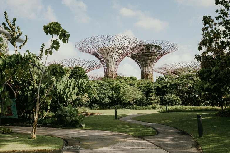 a walkway in the middle of a lush green park, inspired by Thomas Struth, unsplash contest winner, visual art, the singapore skyline, mushroom structures, tall purple and pink trees, sustainable materials