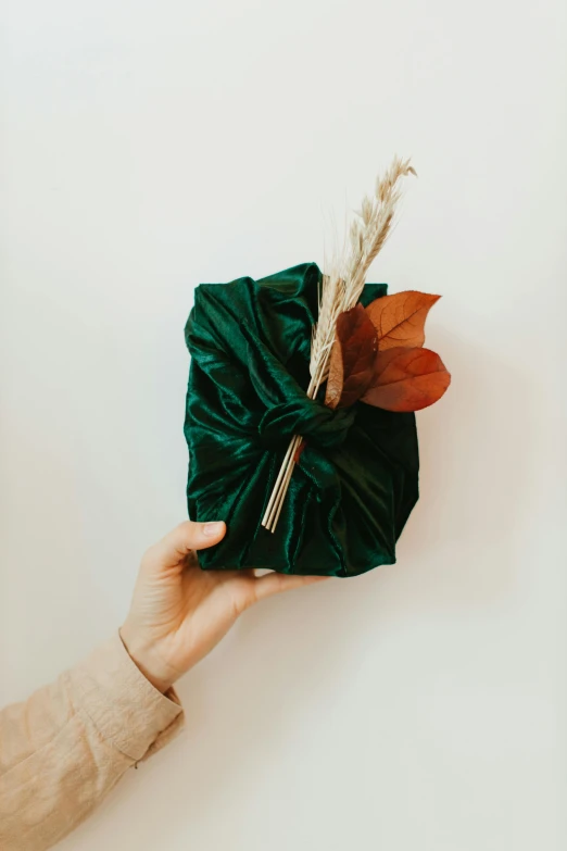 a person holding a green bag with a leaf on it, an album cover, by Mardi Barrie, unsplash contest winner, renaissance, ornamental bow, packaging, dressed in velvet, made of bamboo