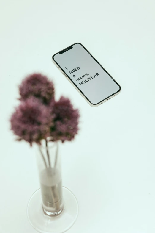 a vase filled with purple flowers next to a phone, a hologram, unsplash, realism, saying, with a white background, selfie photo, no - text no - logo