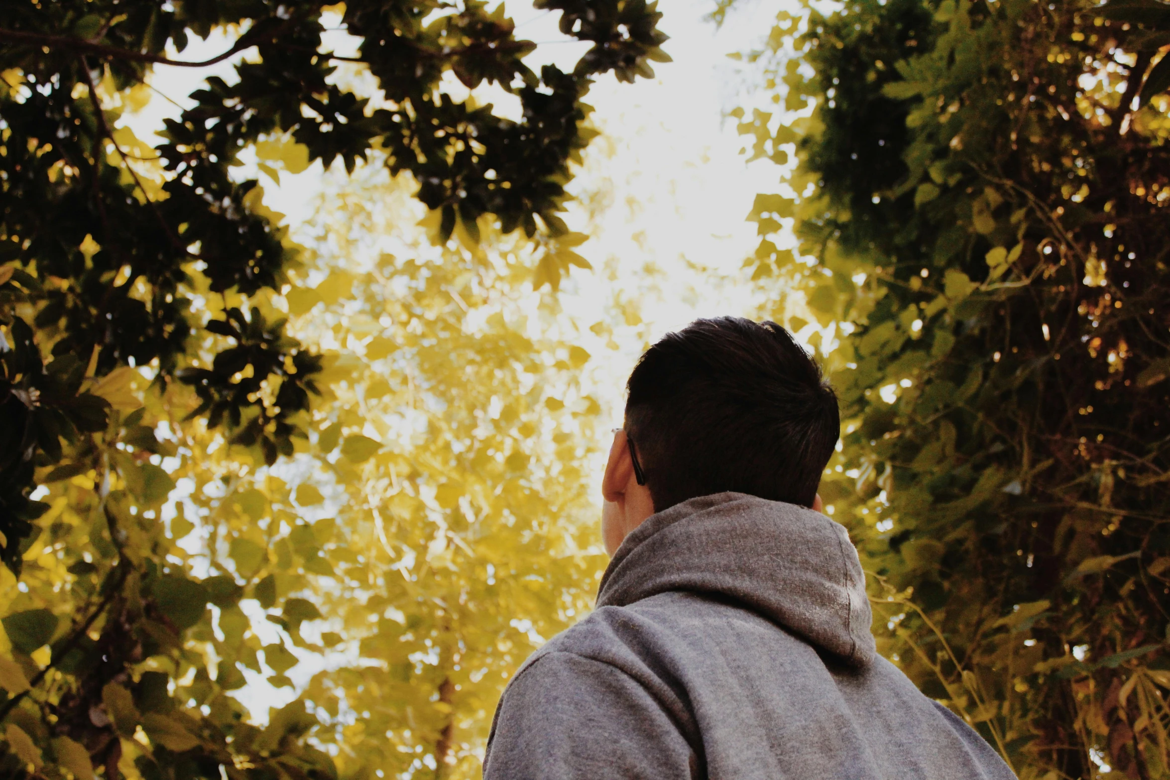 a man standing under a tree talking on a cell phone, unsplash, wearing a yellow hoodie, view from the back, looking upwards, lush surroundings