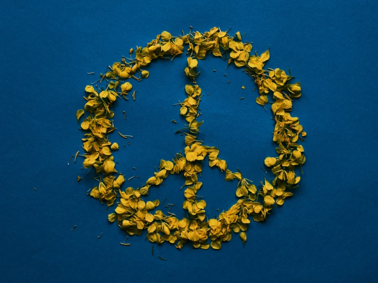 a peace sign made out of yellow flowers, an album cover, inspired by Yves Klein, pexels, nuclear art, navy, avatar image, islamic, peaceful atmosphere