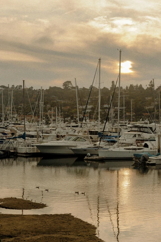a number of boats in a body of water, a portrait, by Dave Melvin, flickr, 8k hdr morning light, harbor, panorama, a cozy