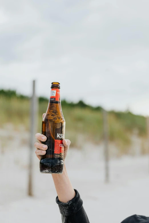 a person laying in the sand with a bottle of beer, by Adriaen Hanneman, pexels contest winner, 2 5 6 x 2 5 6 pixels, beer in hand, red stripe, holding khopesh