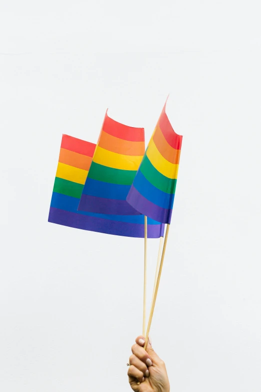 a person holding two rainbow flags in their hands, a picture, 2 5 6 x 2 5 6 pixels, paper, stems, instagram picture