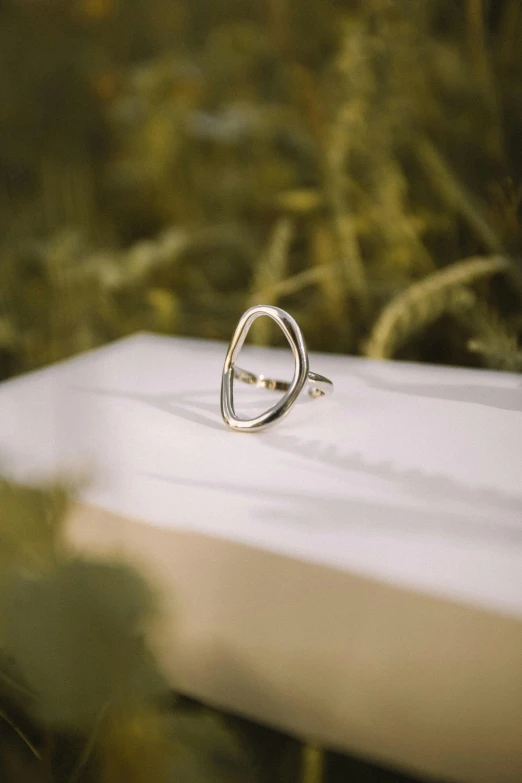 a silver ring sitting on top of a white surface, inspired by L. A. Ring, unsplash, nature outside, smooth oval shape face, featuring rhodium wires, at the golden hour