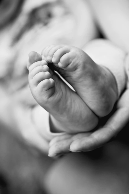 a black and white photo of a baby's feet, by Felix-Kelly, holding each other, big and small, scientific photo, getty images