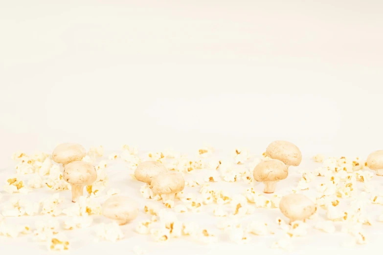 a pile of popcorn sitting on top of a white table, an album cover, unsplash, visual art, made of mushrooms, background image, hd footage, white