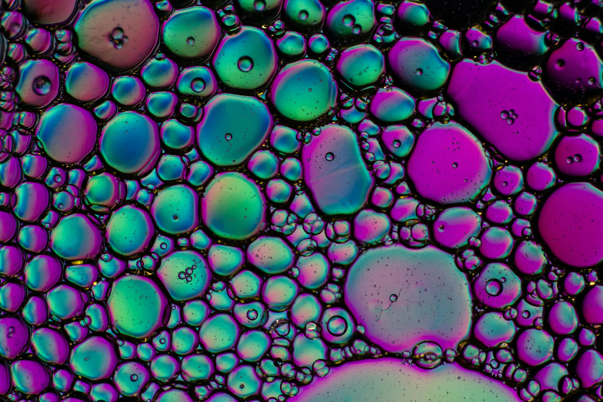 a bunch of bubbles floating on top of each other, a microscopic photo, unsplash, psychedelic art, oil slick, inverse color, purple, multicolored