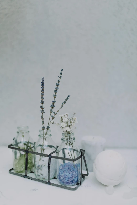 a couple of vases sitting on top of a table, botanicals, close-up photograph, bath, atmospheric photograph