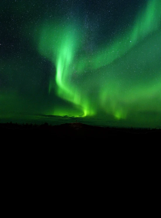 the aurora bore lights up the night sky, pexels contest winner, hurufiyya, green and black color scheme, profile image, ilustration, magnetic waves