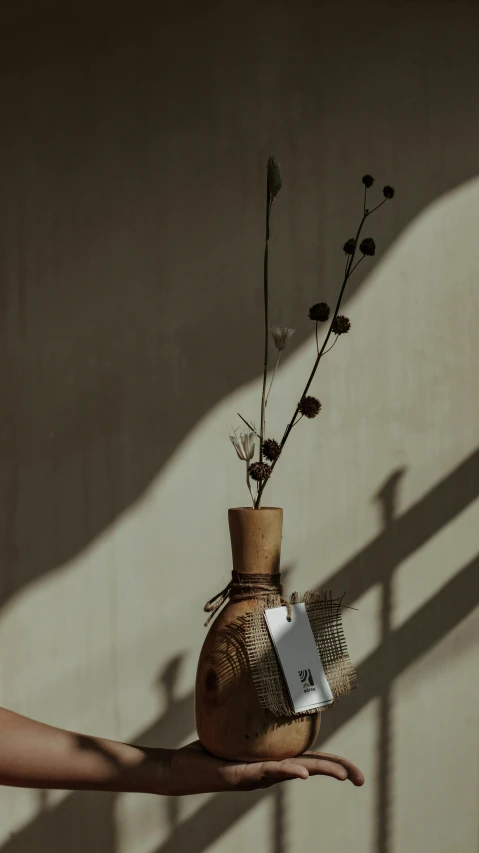 a person holding a vase with flowers in it, by Andries Stock, unsplash, conceptual art, trees cast shadows on the wall, brown:-2, japanese pottery, wine bottle