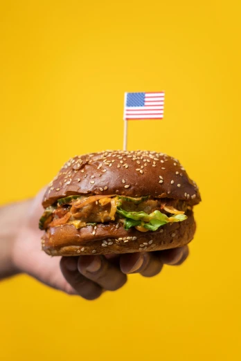 a person holding a hamburger with an american flag sticking out of it, unsplash, yellow, pulled pork sandwich, square, bo chen