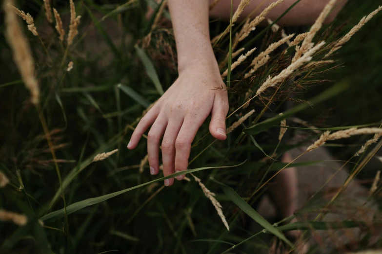 a person sitting in a field of tall grass, inspired by Elsa Bleda, unsplash, naturalism, unclipped fingernails, real human female hand, cottagecore, hunting