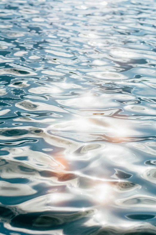 a person swimming in a body of water, by Carey Morris, trending on unsplash, photorealism, light refractions, ocean pattern, highly polished, a photo of a lake on a sunny day