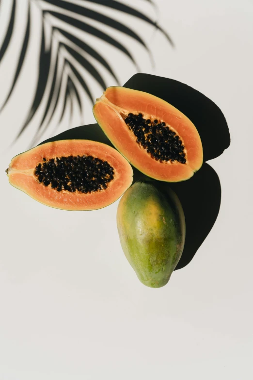 two papanas and a palm leaf on a white background, by Gavin Hamilton, trending on unsplash, fresh fruit, black and orange, soft oval face, berries inside structure