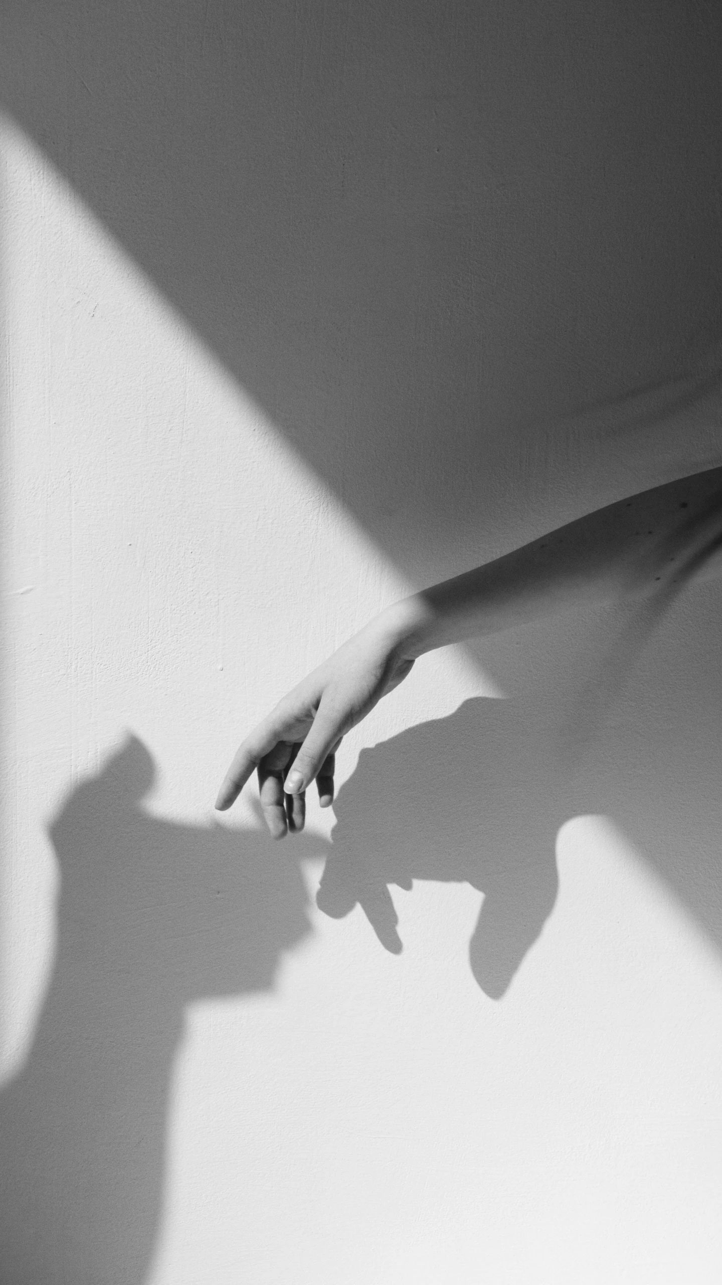 a black and white photo of a hand reaching for a cat, by Emily Shanks, conceptual art, light shadows, photo of a hand jewellery model, medium format. soft light, ffffound