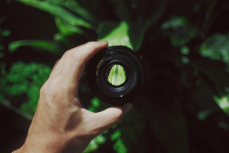 a person taking a picture with a camera, inspired by Elsa Bleda, pexels contest winner, plant photography, photorealistic anamorphic lens, magnified, holding it out to the camera