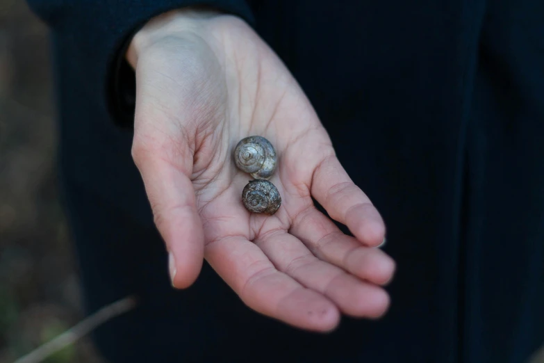 a person holding two rocks in their hands, by Matthias Stom, unsplash, renaissance, snails, a 18th century, buttons