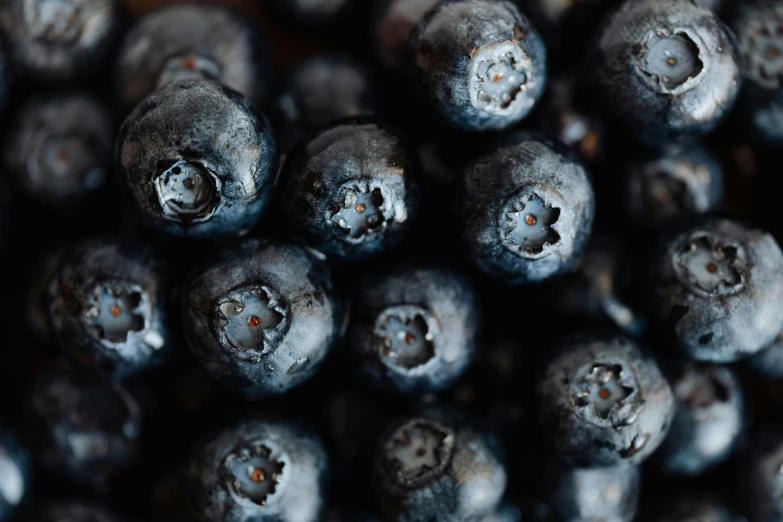 a close up of a bunch of blueberries, pexels, avatar image, background image, alessio albi, professional closeup photo