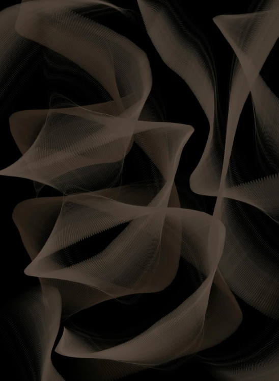 a black and white photo of a flower, an abstract drawing, inspired by Anna Füssli, pexels contest winner, generative art, gradient brown to silver, amoled wallpaper, geometric curves, digital art - n 9