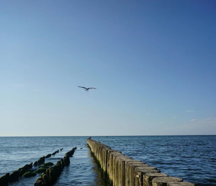 a bird flying over a body of water, near a jetty, blue clear skies, black sea, sunken