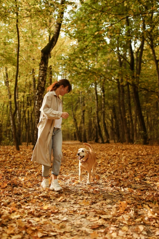 a woman walking a dog through a forest, falling leaves, programming, enjoying a stroll in the forest, quality