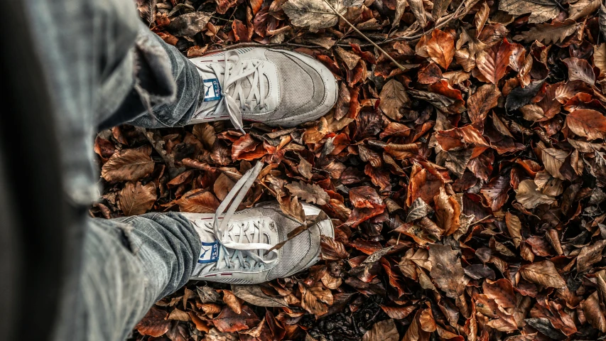 a person standing on top of a pile of leaves, pexels contest winner, blue jeans and grey sneakers, avatar image, vintage aesthetic, thumbnail