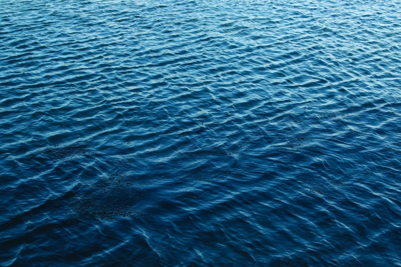 the surface of a large body of water, unsplash, deep dark blue, ignant, ripples, lakeside