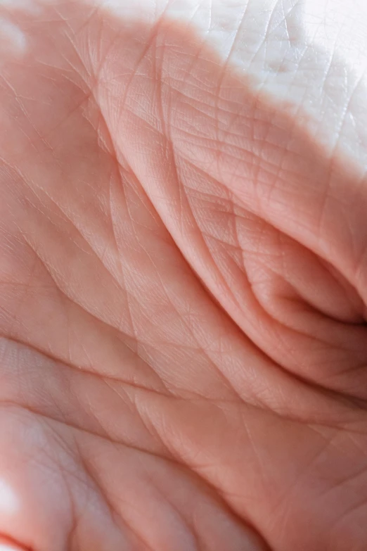 a close up of a person's hand holding a toothbrush, unsplash, hyperrealism, patricia piccinini, palm skin, folds of fabric, veins