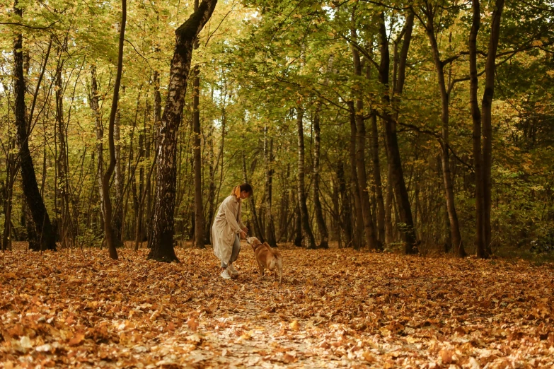 a woman walking a dog through a forest, pexels contest winner, fall leaves on the floor, orthodox, youtube thumbnail, forest picnic