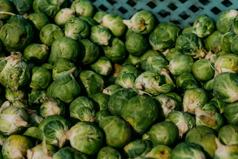 a pile of brussel sprouts in a basket, by Kristin Nelson, pexels, square, avatar image, panels, 1 9 7 5 photo