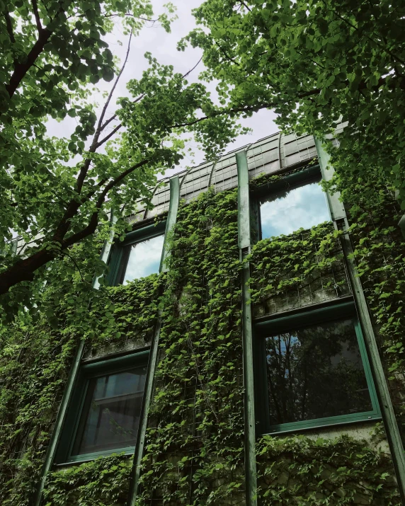 a tall building covered in lots of green plants, inspired by Elsa Bleda, unsplash, 🤬 🤮 💕 🎀, passive house, berghain, connected to nature via vines