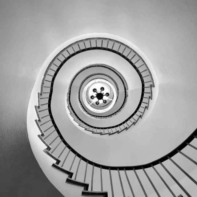 a spiral staircase is shown in black and white, by Wojciech Gerson, unsplash contest winner, minimalism, mandala, snail, saatchi art, 4 0 mm