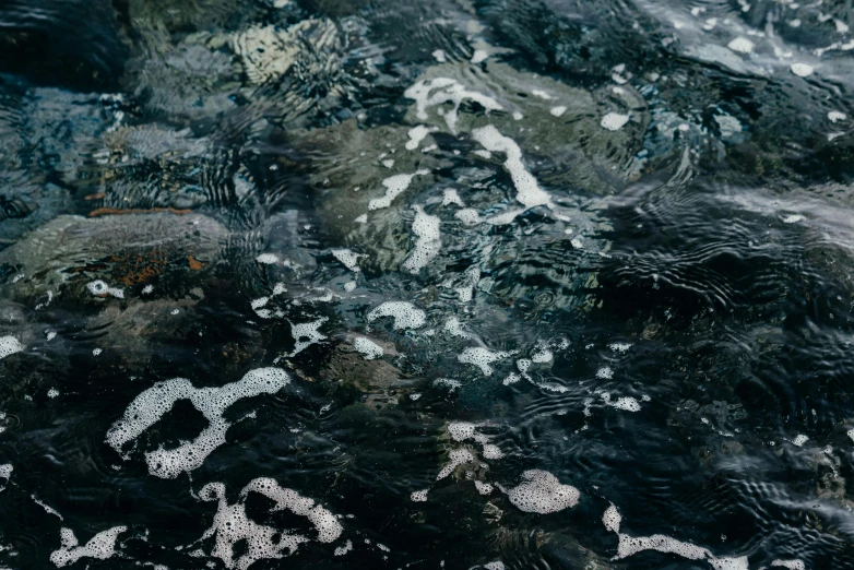 a close up of water and rocks in a body of water, inspired by Elsa Bleda, unsplash, lyrical abstraction, swirling schools of silver fish, black sand, wet reflective concrete, amanda clarke