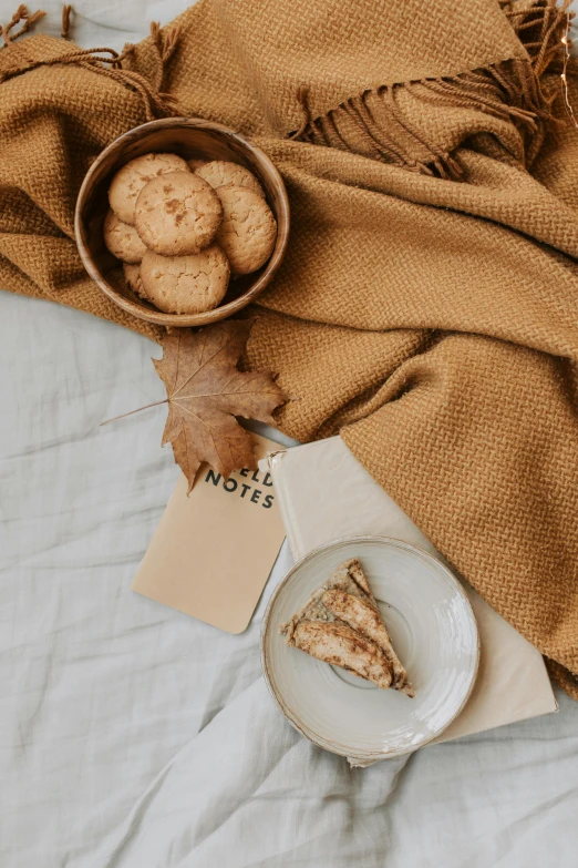 a plate of cookies and a cup of coffee on a bed, a still life, by Nicolette Macnamara, unsplash contest winner, cloth wraps, autum, with notes, thumbnail