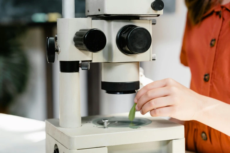 a close up of a person using a microscope, trending on pexels, seeds, inside of a 1970s science lab, greenish tinge, plating